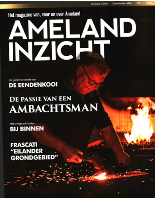 ameland20inzicht203 2017.webp