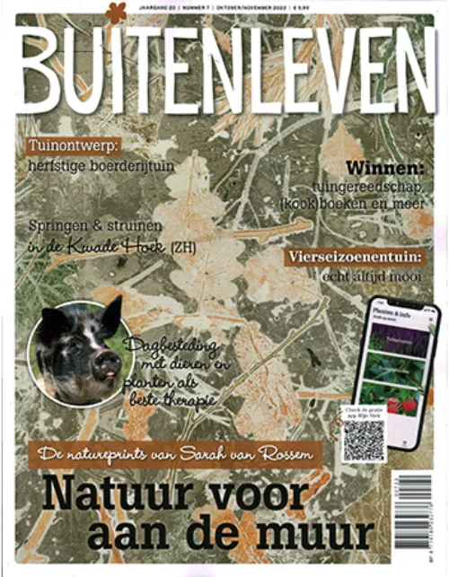 buitenleven 07 2022.webp