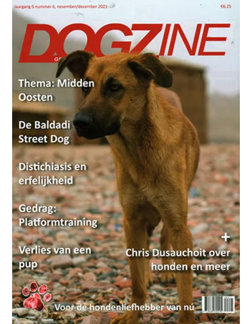 dogazine 06 2021.webp