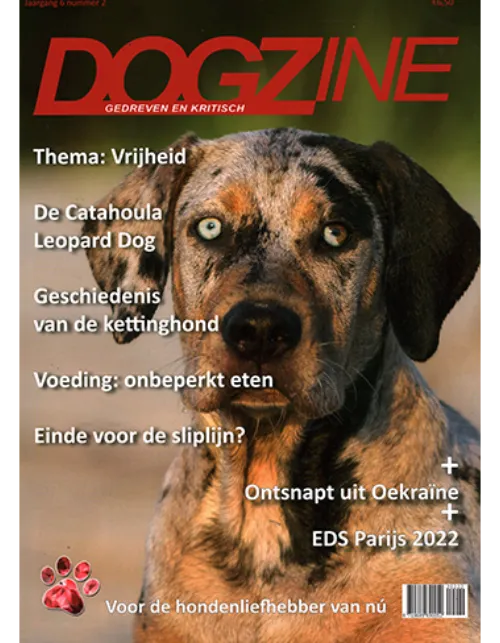 dogzine 02 2022.webp