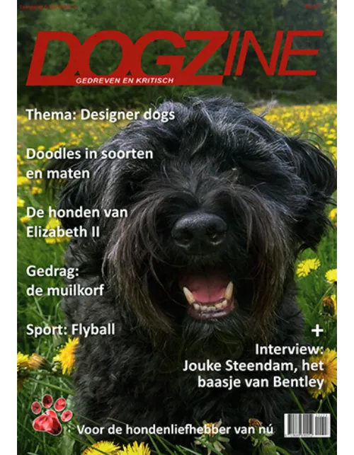 dogzine 03 2022.webp