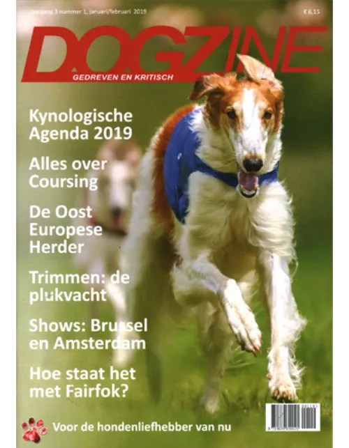 dogzine201 2019.webp