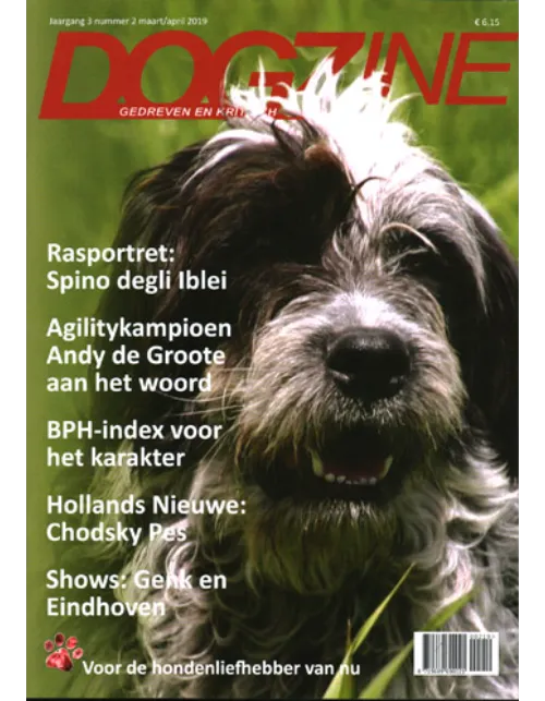 dogzine202 2019.webp