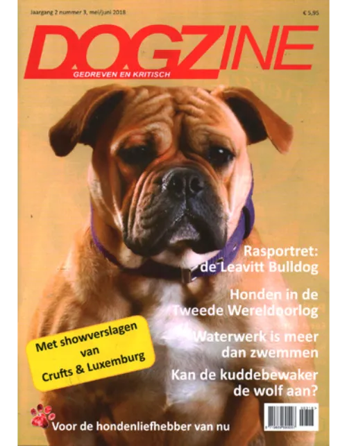 dogzine203 2018.webp