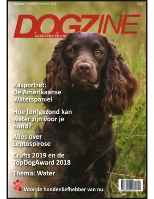 dogzine203 2019.webp