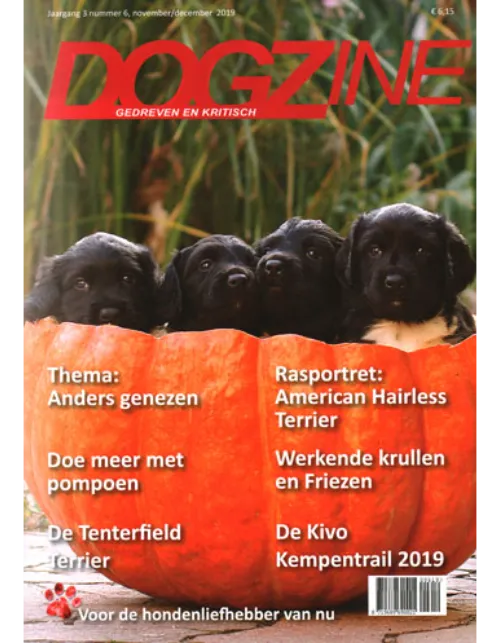 dogzine206 2019.webp