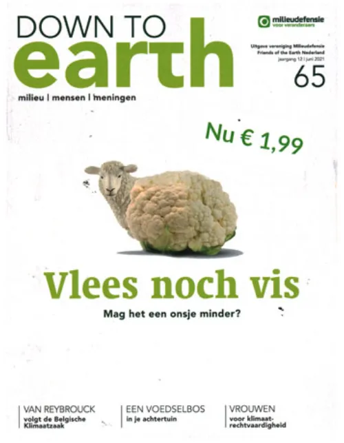 down to earth 65 2021.webp