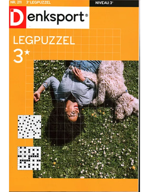 dsp legpuzzel 211 2023.webp