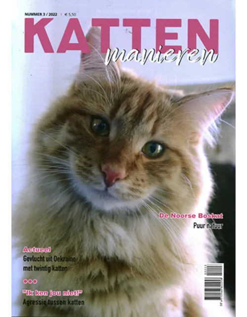 katten manieren 03 2022.webp