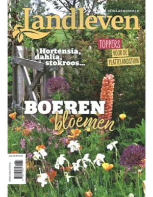 landleven boeren bloemen 03 2023 1.webp