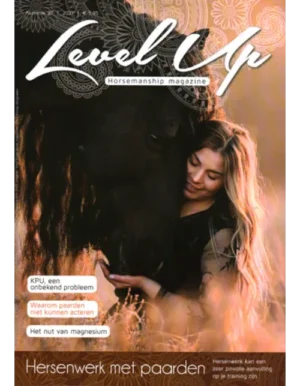 level up 27 2021.webp