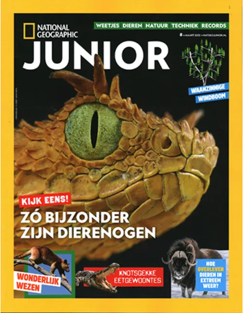 national geographic junior 08 2023.webp