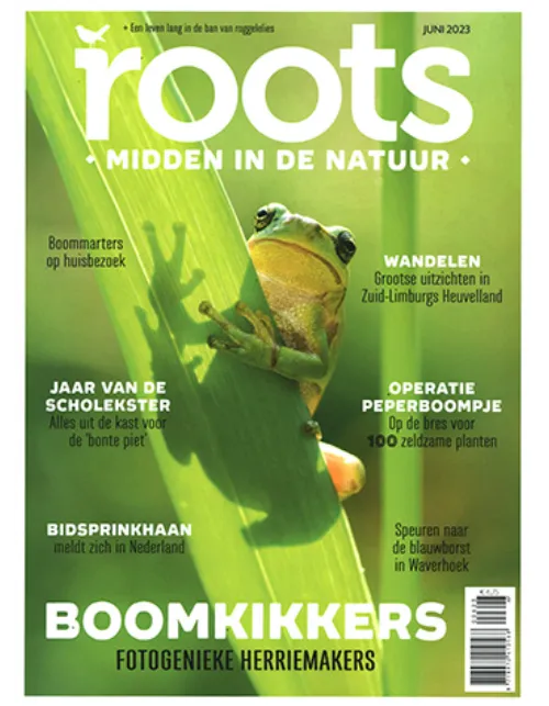 roots 06 2023.webp