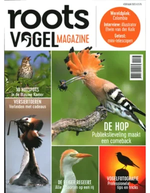 roots vogel magazine 01 2023.webp