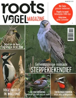 roots vogel magazine 02 202.webp