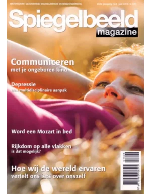 spiegelbeeld 6 2016.webp