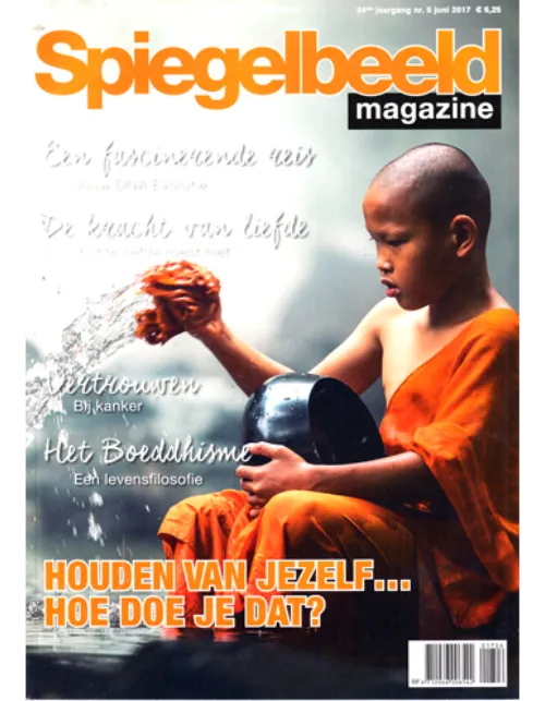 spiegelbeeld20magazine206 2017.webp