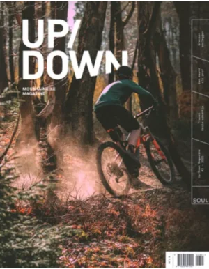 up down 03 2021.webp