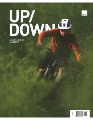 up down 03 2023.webp