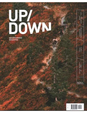 up down 04 2021.webp