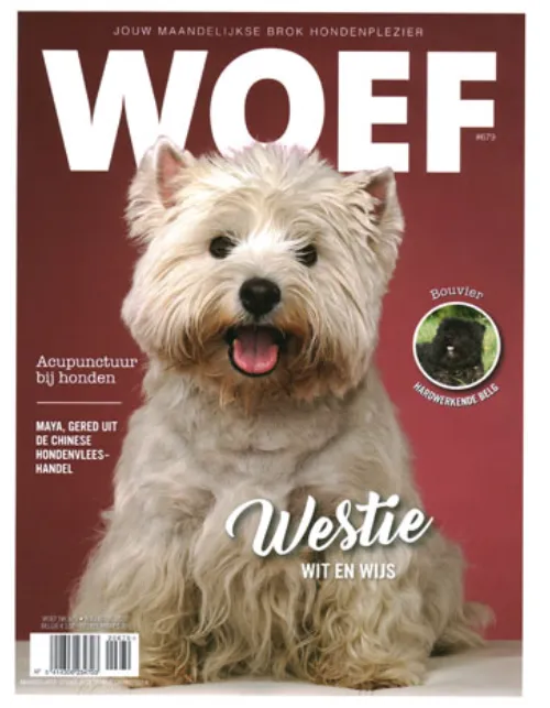 woef20679 2020.webp