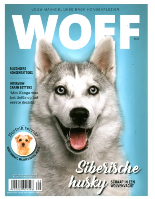 woef208 2018.webp