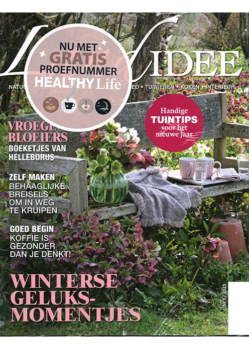 Landidee – 01 2025 - Magvilla