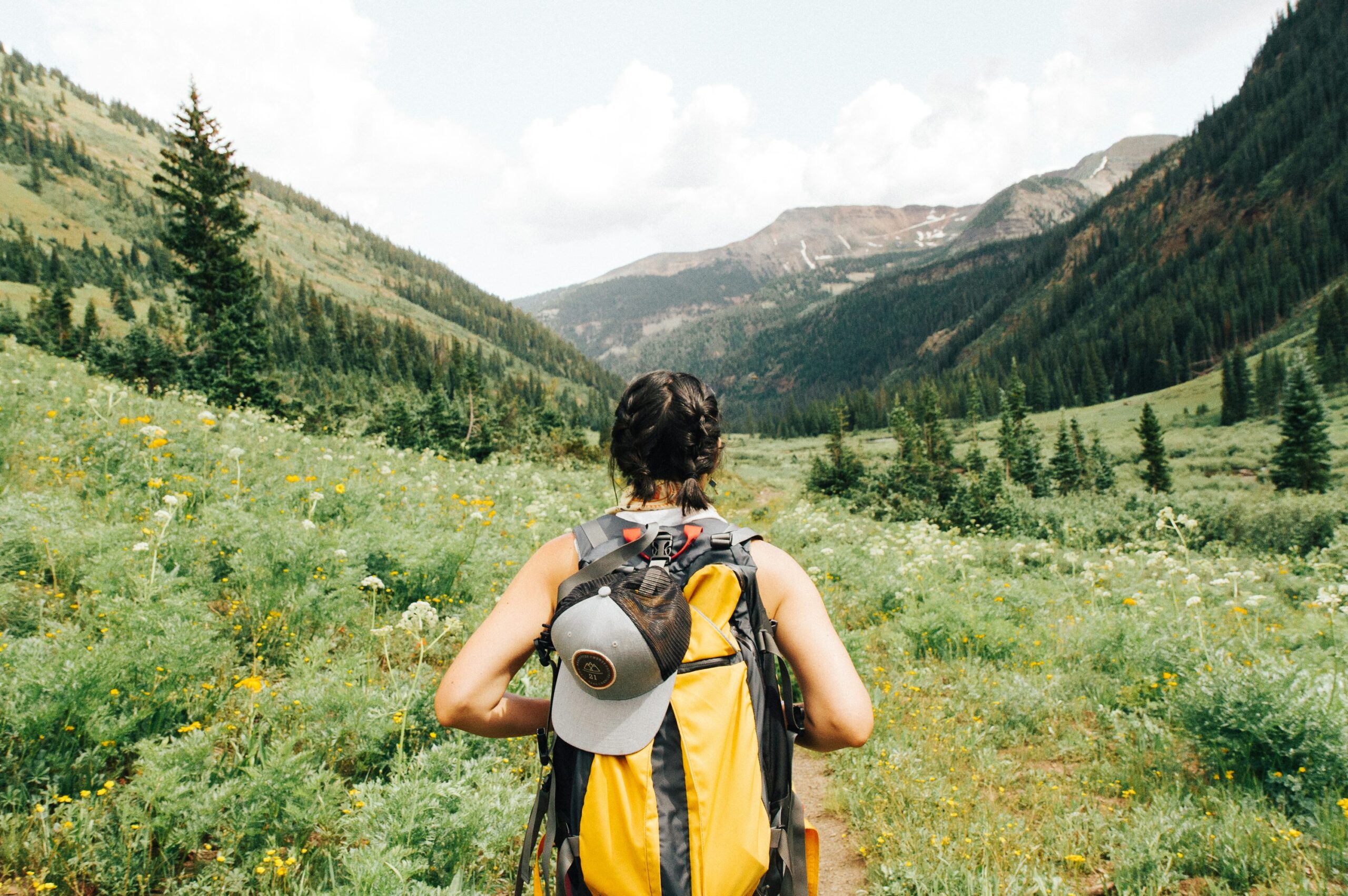 photo 1501555088652 021faa106b9b - Magvilla person carrying yellow and black backpack walking between green plants