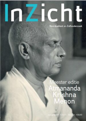 Inzicht abonnement