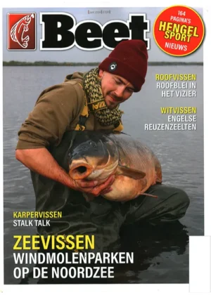 Beet - 04 2025